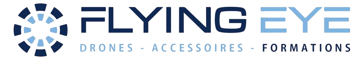 FlyingEye Logo